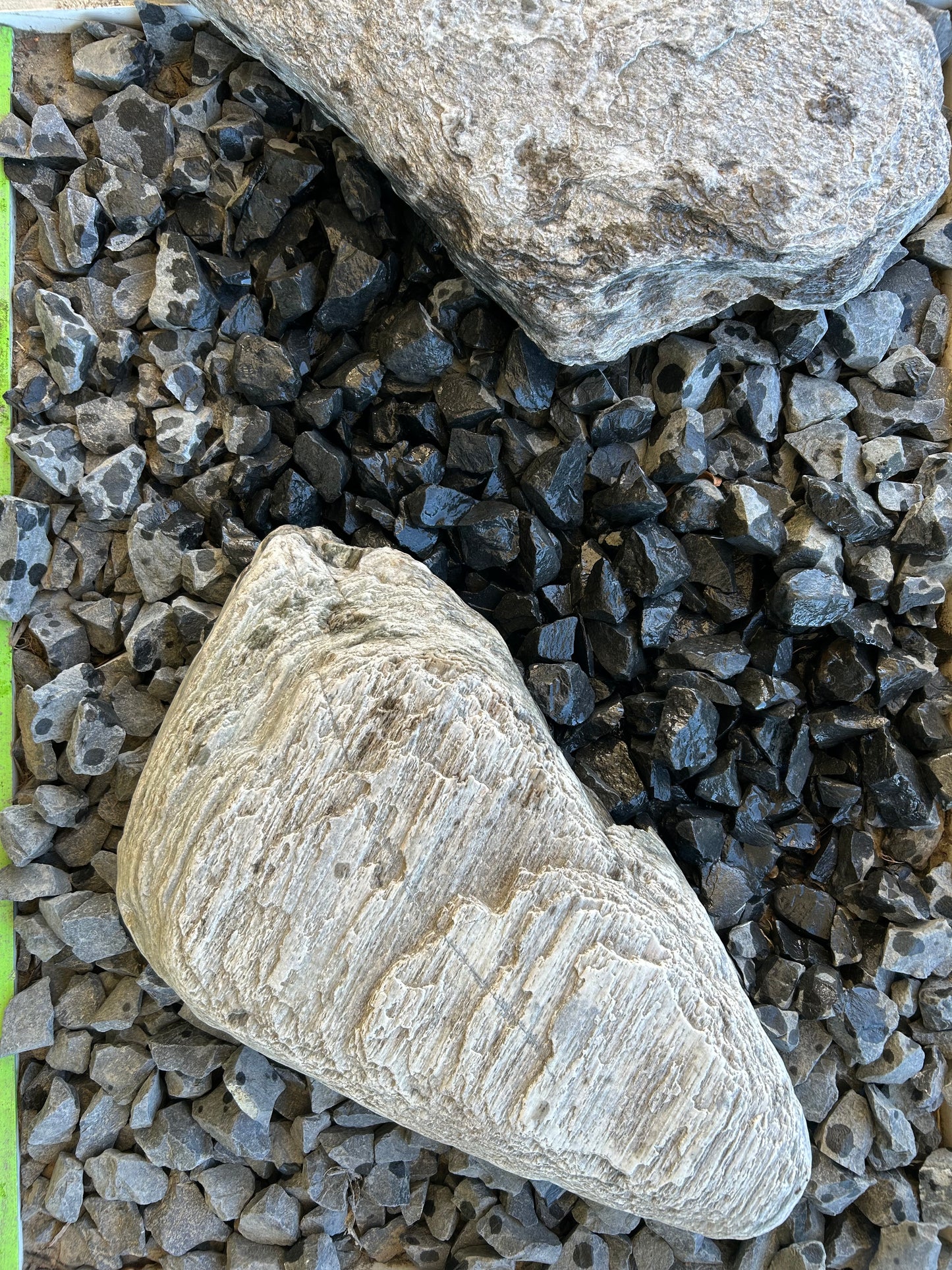 Blackhead Chip Large (30-40mm)