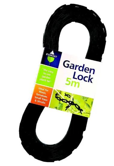 Garden Tree Lock