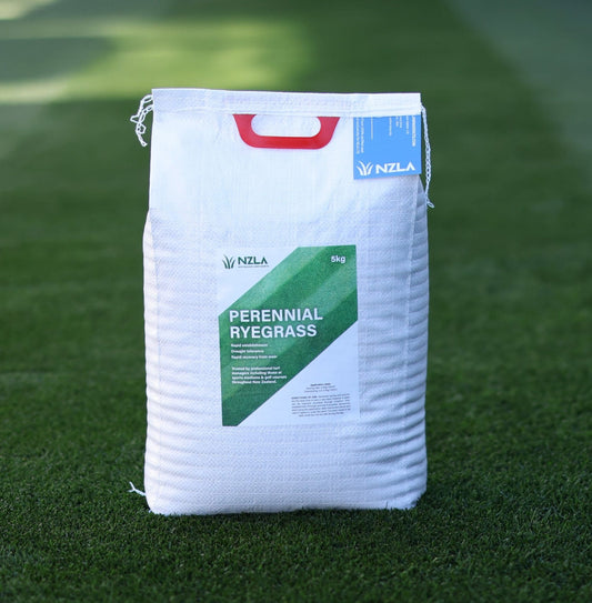 NZLA Perennial Rye Lawn Seed