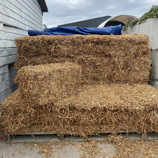Pea Straw - Bale (Peastraw)
