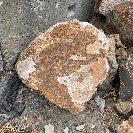 Teddington Boulders (per kg)