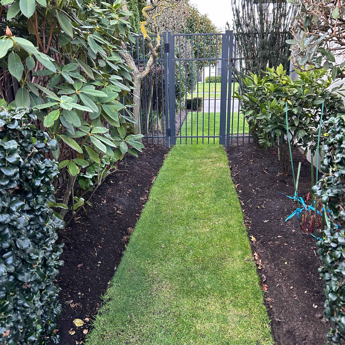 A garden pathway lined with Supagro soil conditioner and compost on both sides, with lush greenery on the sides and a metal gate at the end.