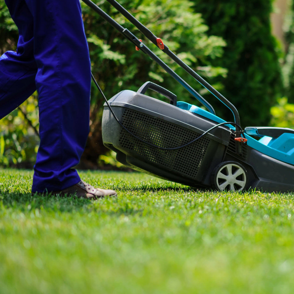 Spring Clean Your Lawns