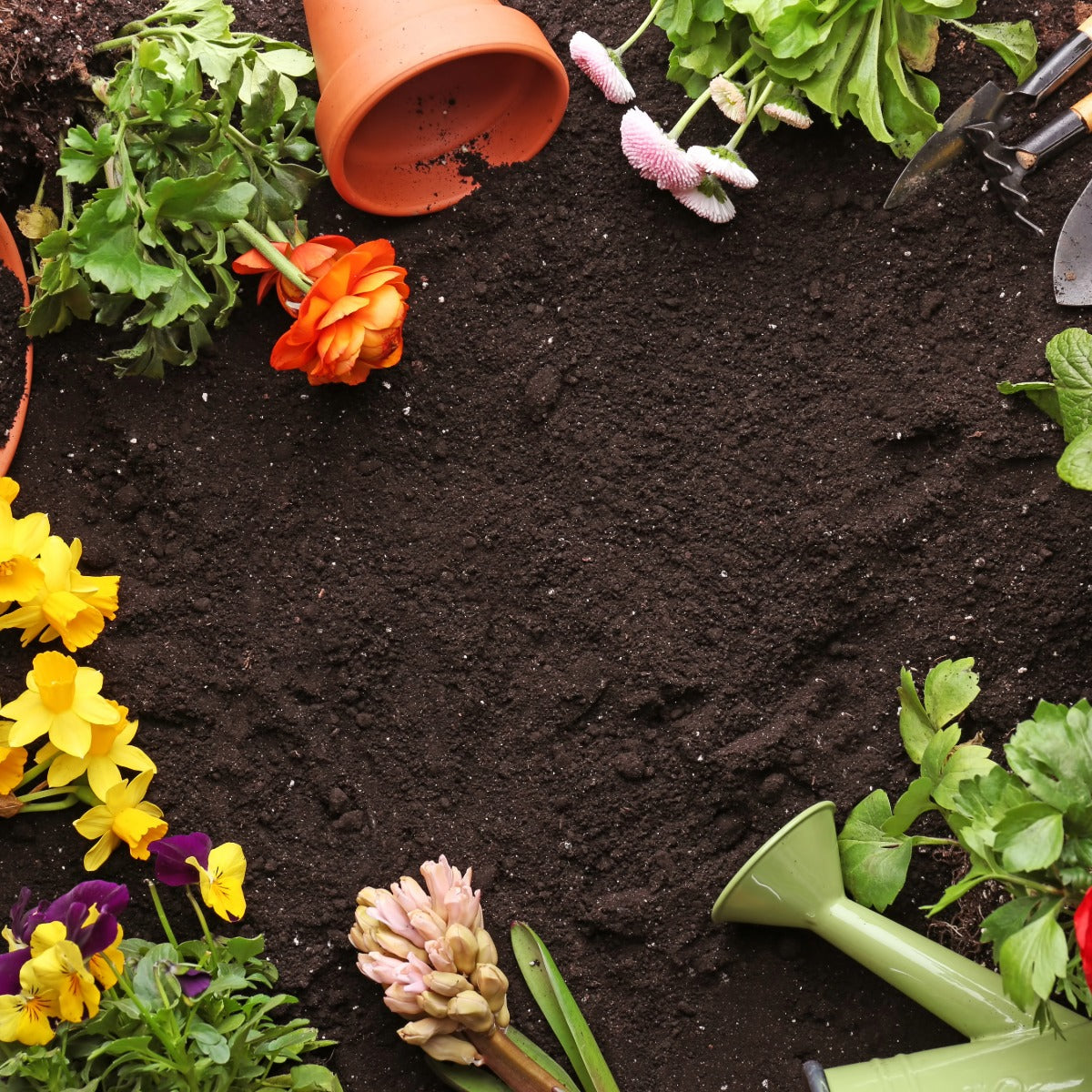 Spring garden essentials
