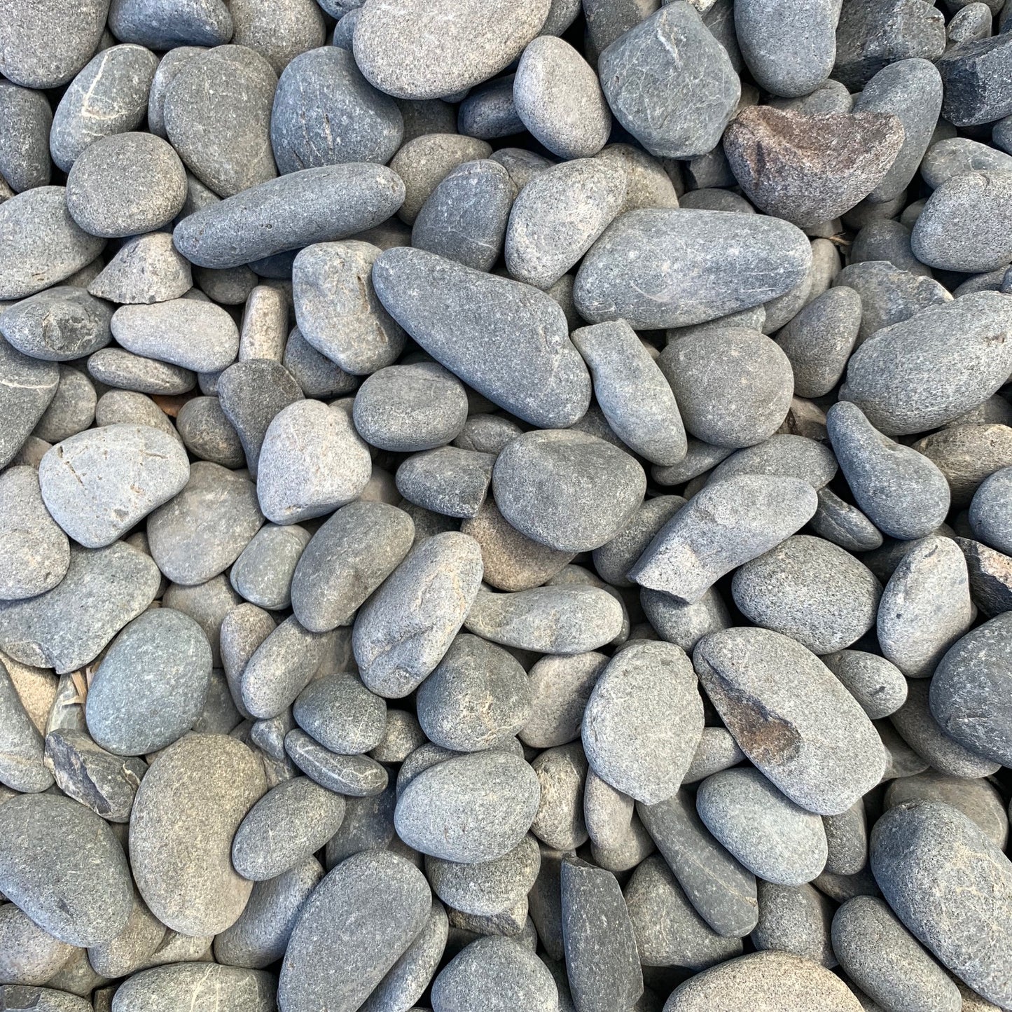 Stone Rounds Medium (20-40mm)