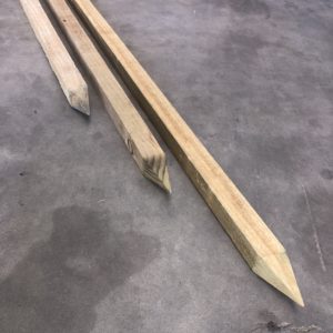 Garden Stakes - 50 x 50 H4