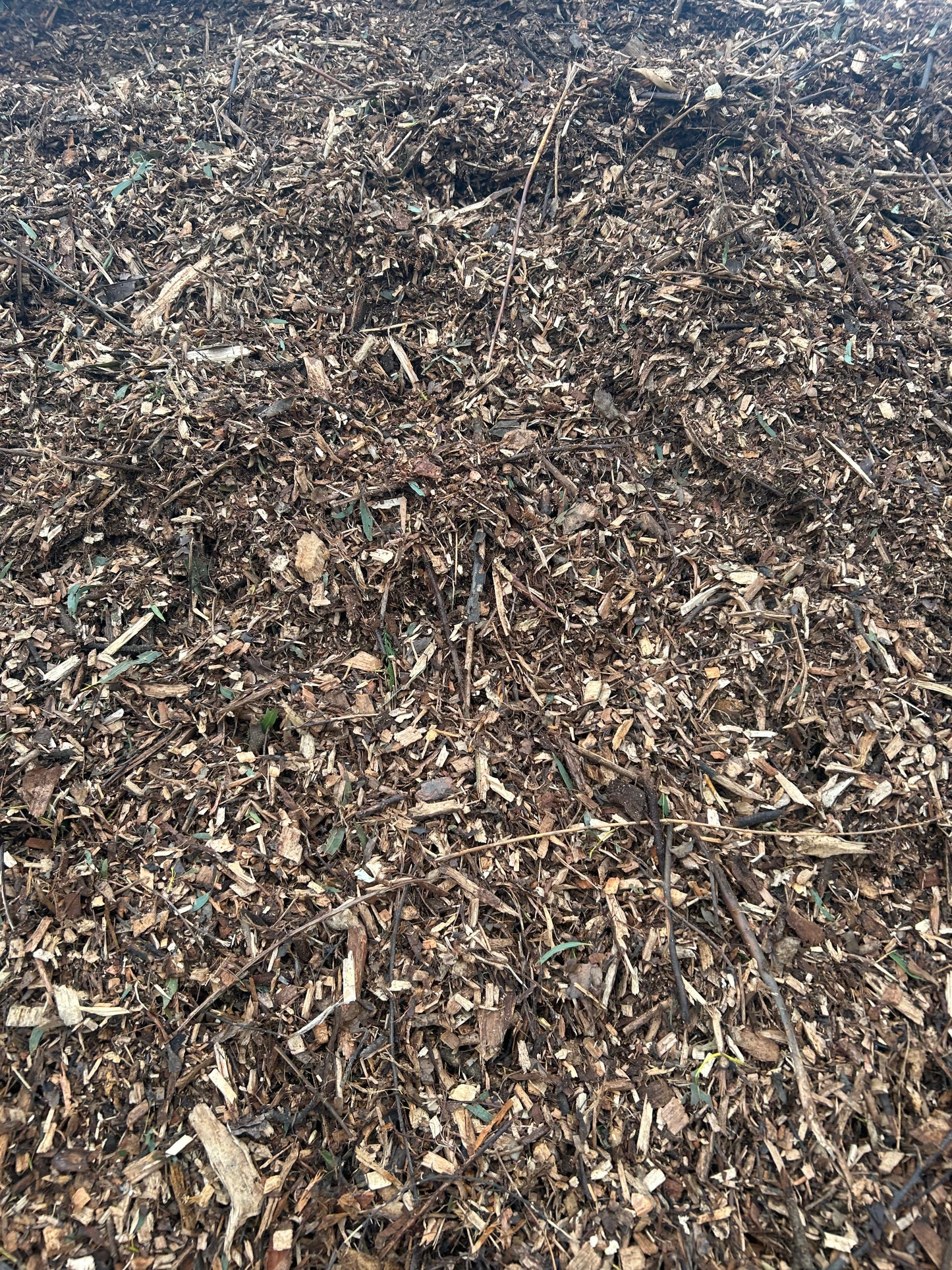Forest Floor (Aged Arbor Bark Mulch)