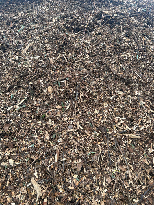 Forest Floor (Aged Arbor Bark Mulch)