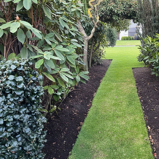 A garden pathway bordered by greenery on both sides, covered with dark brown lawn top soil.