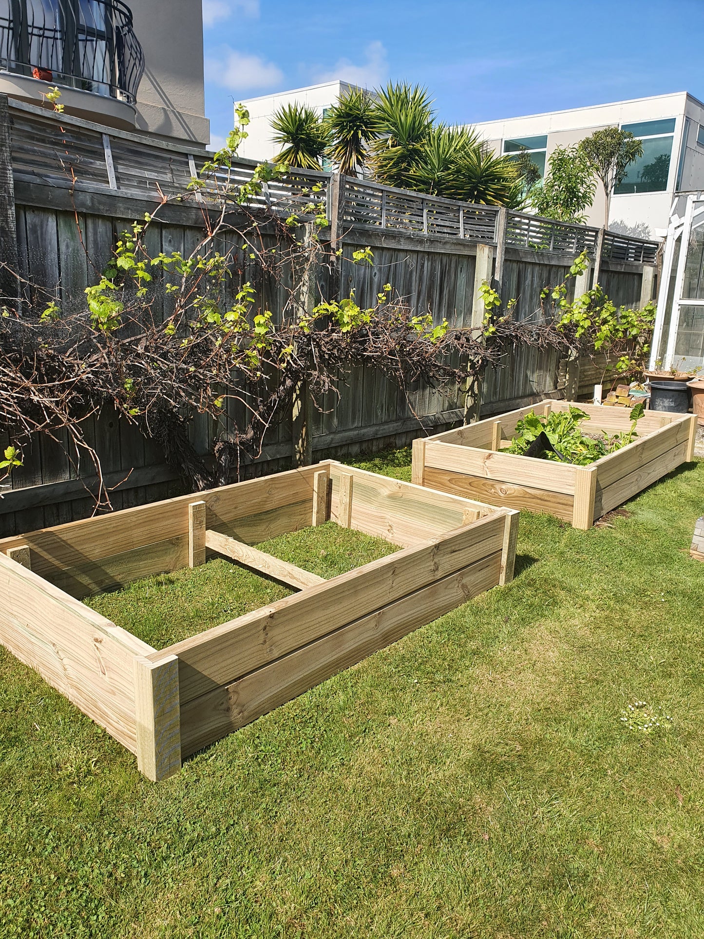 Planter Boxes