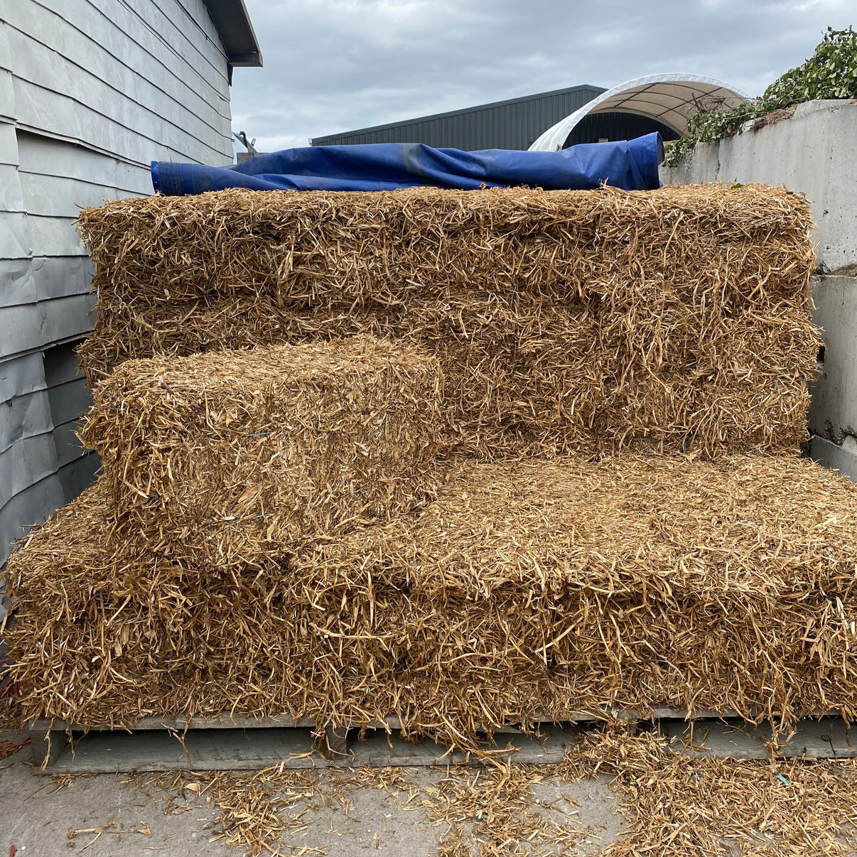 Pea Straw (Peastraw) Gardenmakers Landscape Supplies