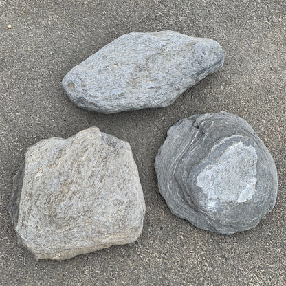 Westland Schist Flat Stones (Waitaha)