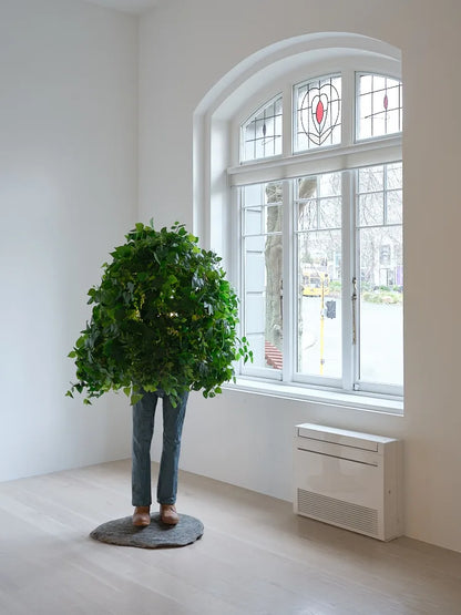 Waitaha Super Slab 600-800mm (Westland Schist)