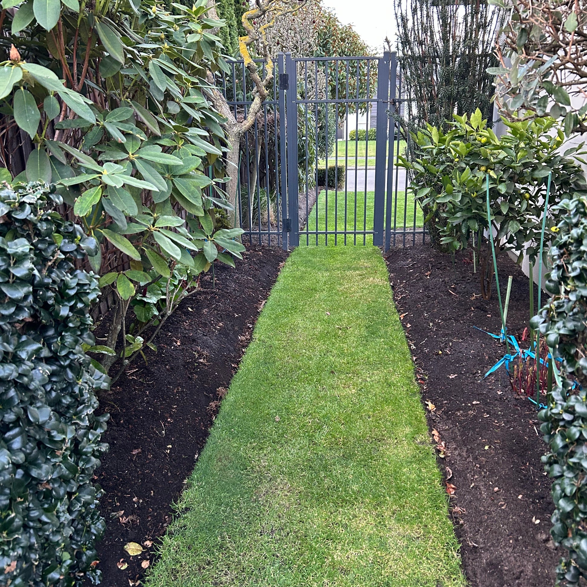 A garden pathway lined with Supagro soil conditioner and compost on both sides, with lush greenery on the sides and a metal gate at the end.